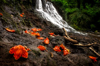 Kauai 2020