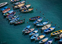 Vernazza Fleet