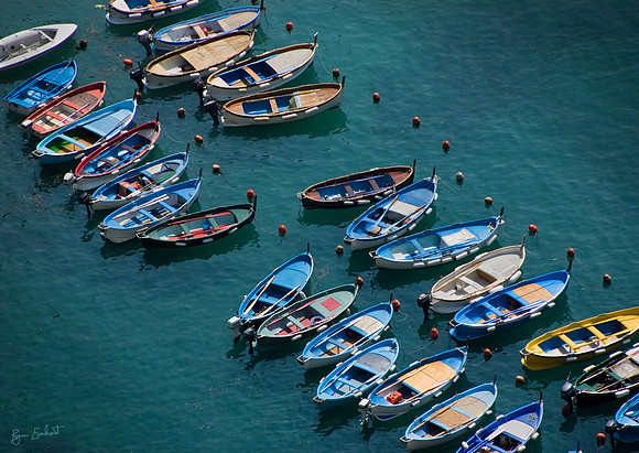 Vernazza Fleet