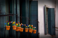 Venetian Glass Flowers