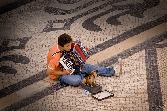 Singing Dog