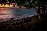 Maui 2019