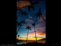 Maui