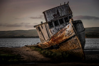 Point Reyes 2019