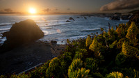 Bodega Bay 2023